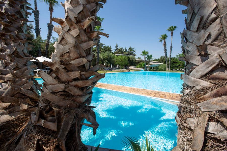 Vista panoramica sulla piscina tra le palme