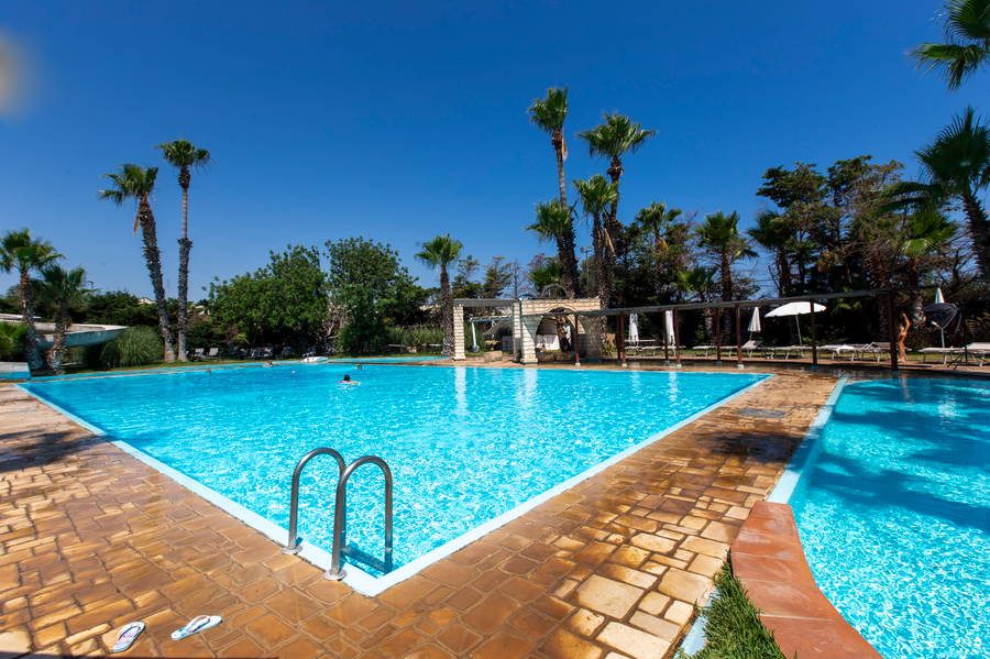 Grande piscina esterna con palme e lettini