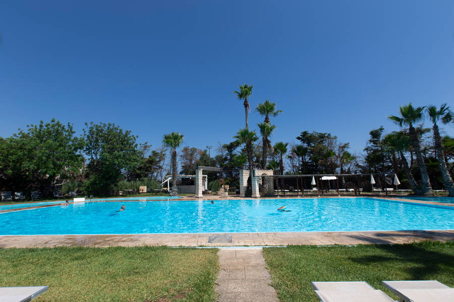 Piscina panoramica tra le palme sotto il cielo blu