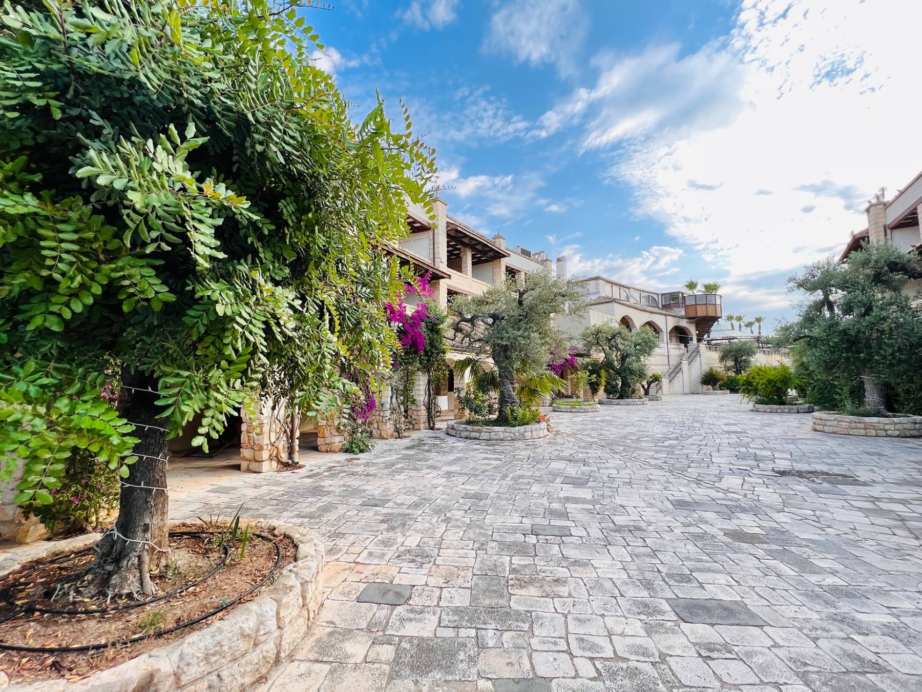 Piazzetta lastricata con bougainvillee, ulivi e archi in pietra