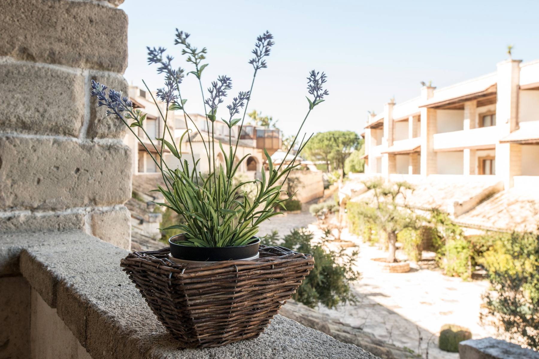 Cesto di lavanda su muretto in pietra con vista sul borgo