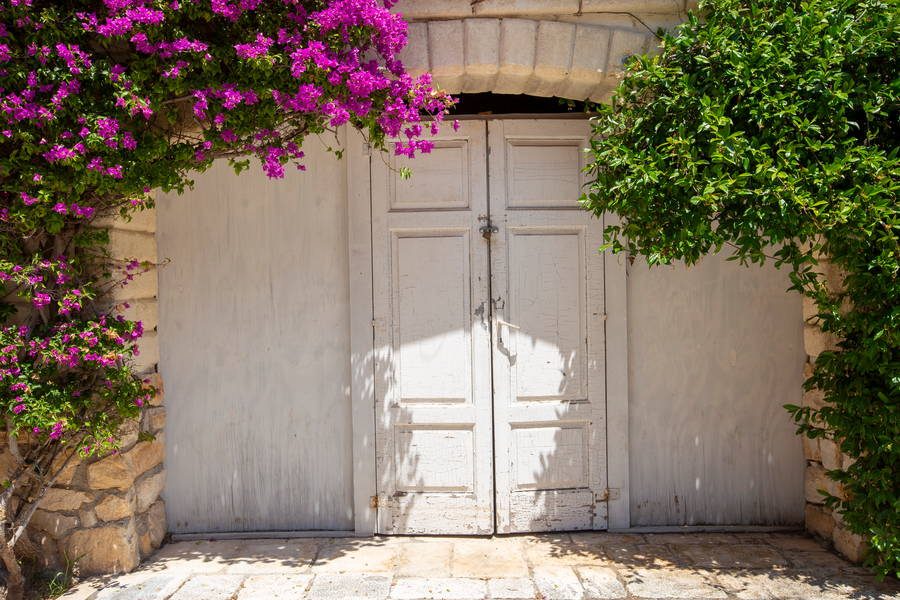 Portone bianco tra bougainvillee e verde mediterraneo