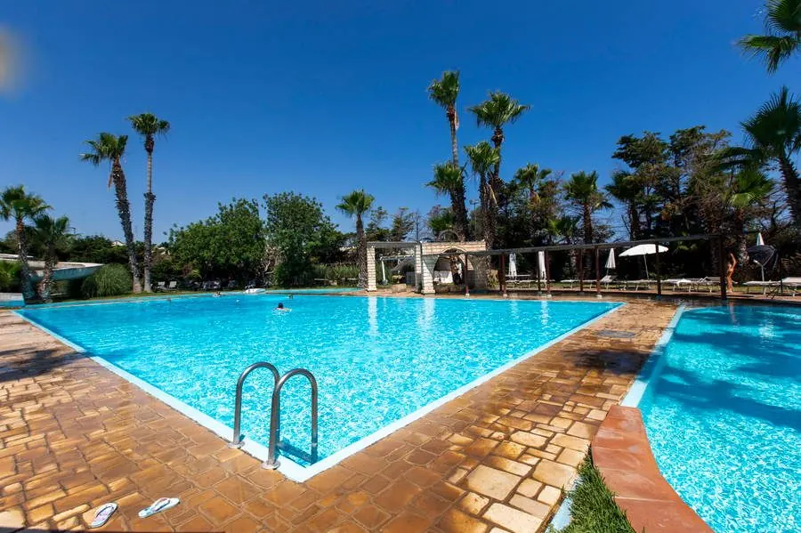 Grande piscina esterna con palme e lettini