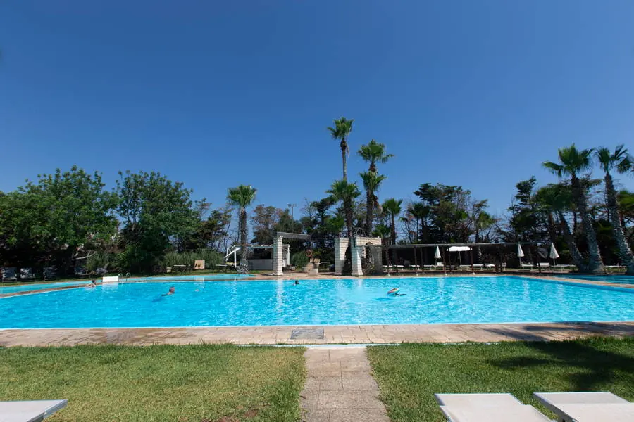 Piscina panoramica tra le palme sotto il cielo blu